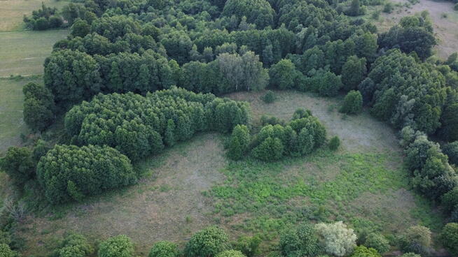 Działka 1,86 ha w KRĘPSKU