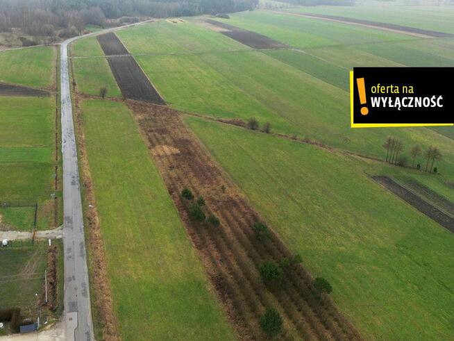 Działka budowlana Nowy Dwór gm. Krasocin,