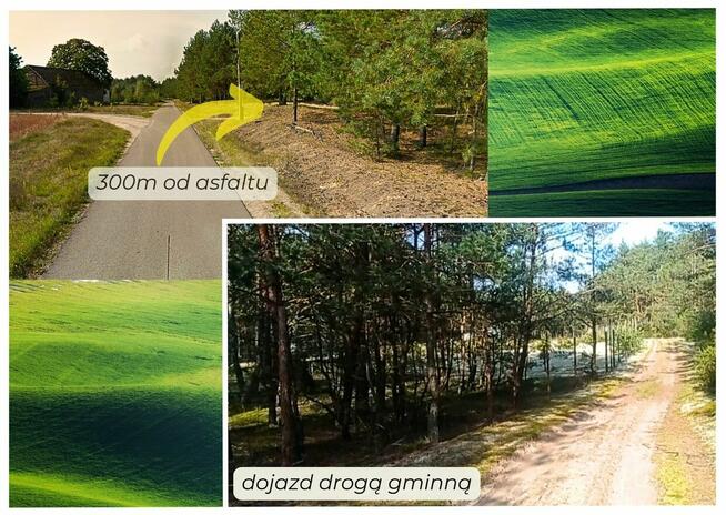 Działki w sercu lasu.......cisza idealna