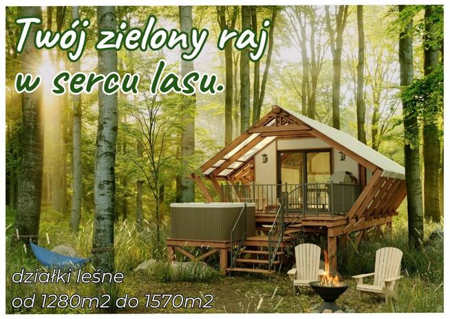 Działki w sercu lasu.......cisza idealna