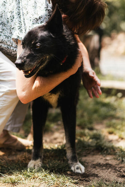 Nero po śmierci Pana czeka na nowy dom