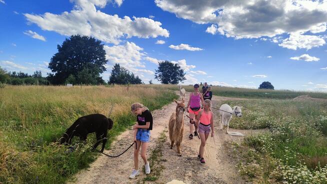 Domek drewniany Chmielno