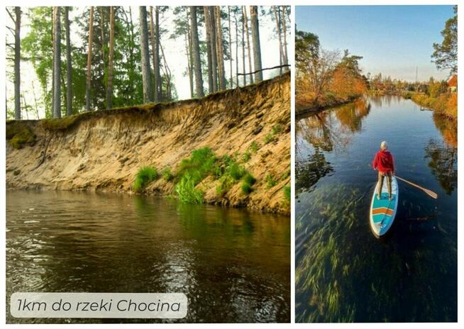 Działki w sercu lasu.......cisza idealna