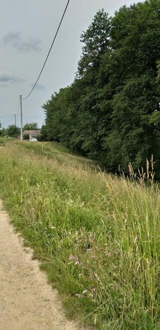 Sprzedaż dzialki