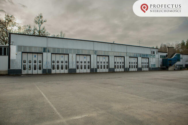 Lokal użytkowy Straszyn gm. Pruszcz Gdański