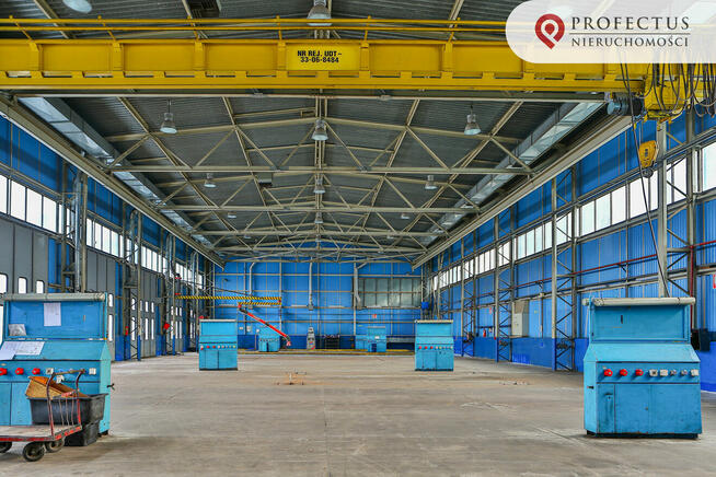 Lokal użytkowy Straszyn gm. Pruszcz Gdański