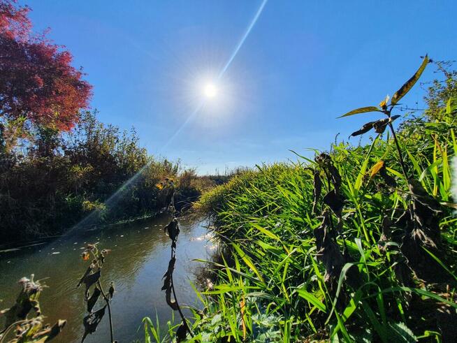 Działka budowlana Duchnów gm. Wiązowna