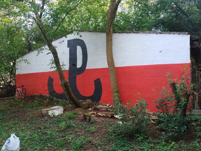 Artystyczne malowanie ścian -mural graffiti ilustracja