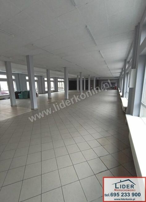 Wynajmę lokal handlowo usługowy - Koło