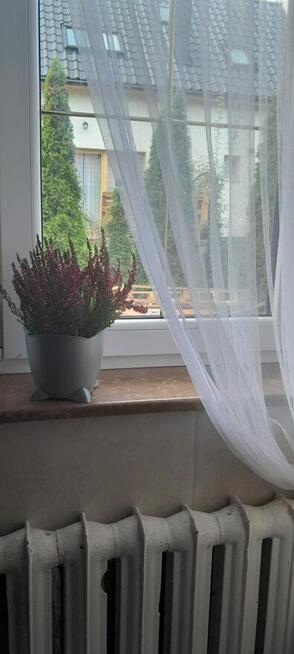 Pokój - miejsce w pokoju 2 os.