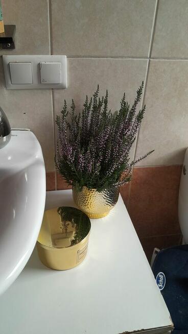 Pokój - miejsce w pokoju 2 os.