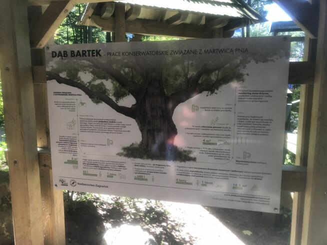 Nissan x trailer T31 - SUV dla podróżników