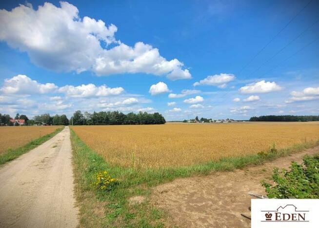 Działka rolno-budowlana Siedliska gm. Wojcieszków