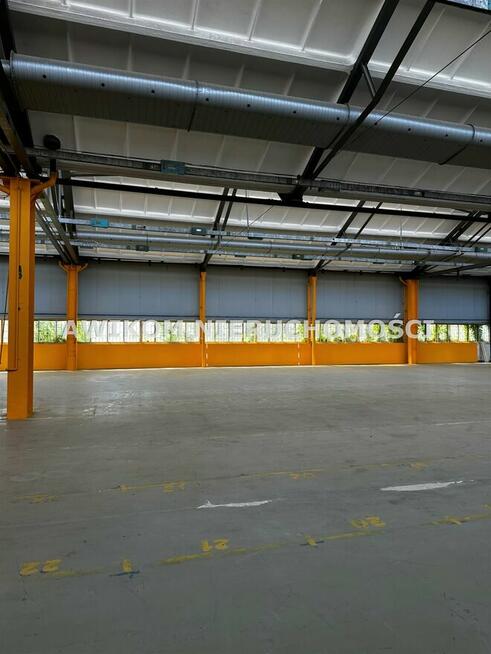 Lokal użytkowy Błonie