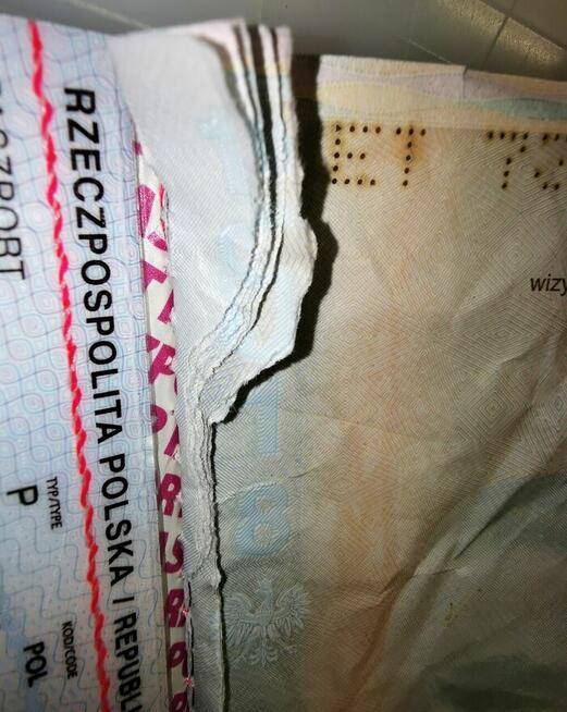 Naprawa paszportu, naprawy paszportów, wklejanie kartek itp.