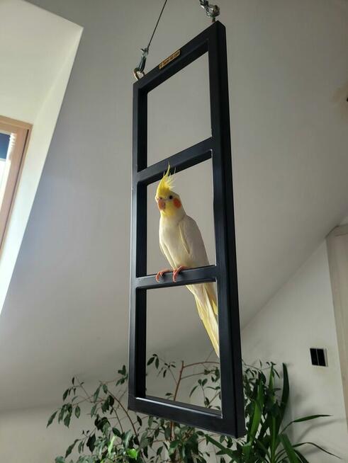 Stojak wiszący ramka na lince sufitowy dla ptaków i nie tylk