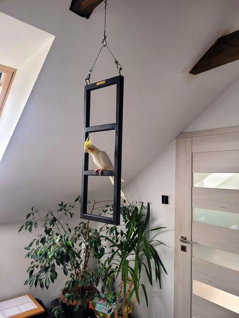 Stojak wiszący ramka na lince sufitowy dla ptaków i nie tylk