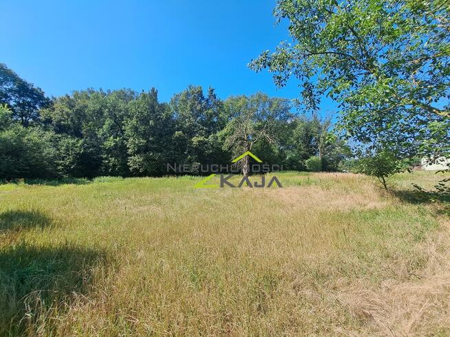 Dom blisko lasu, rzeki - Dobrzęcin