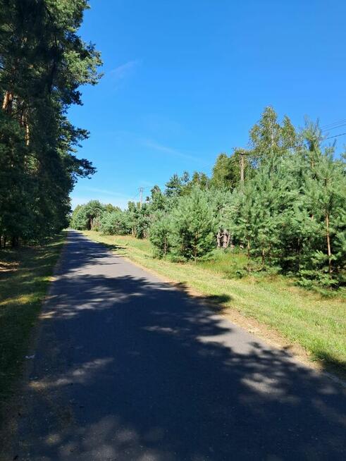 Działki budowlane o powierzchni 1189m2-1888m2, Prażuchy Nowe