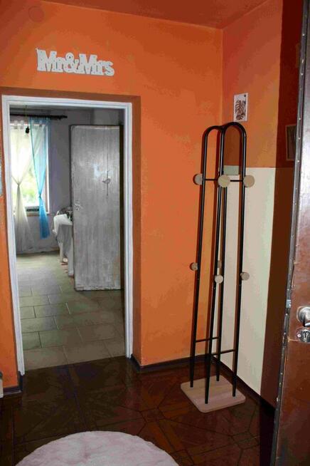 Duże bezczynszowe M 3 z ogródkiem w centrum miasta