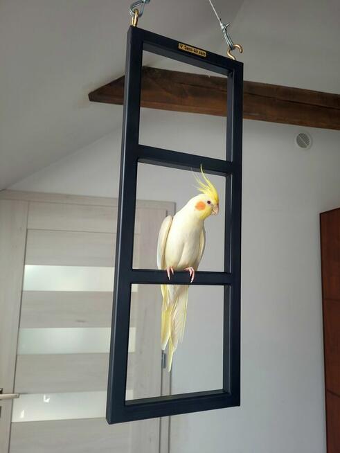 Stojak wiszący ramka na lince sufitowy dla ptaków i nie tylk