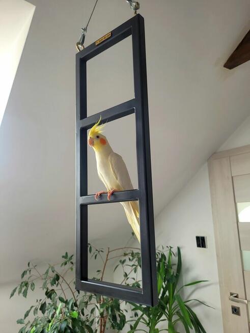 Stojak wiszący ramka na lince sufitowy dla ptaków i nie tylk