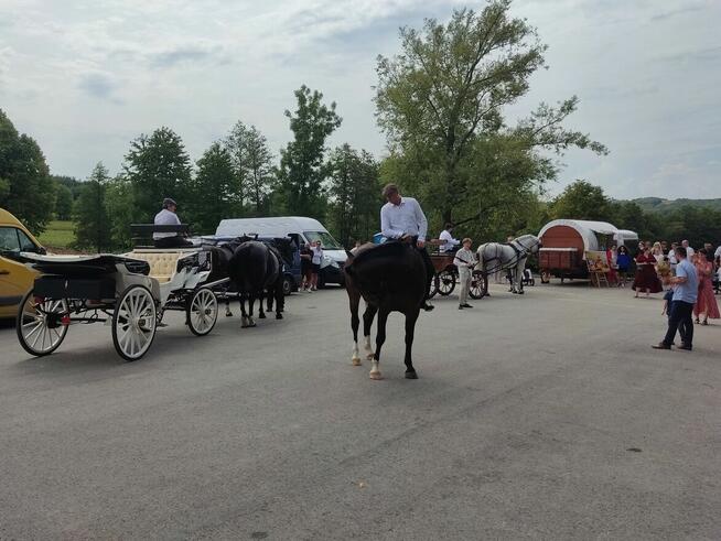 Do sprzedaży lub wynajęcia jako punkt handlowy lub usługowy