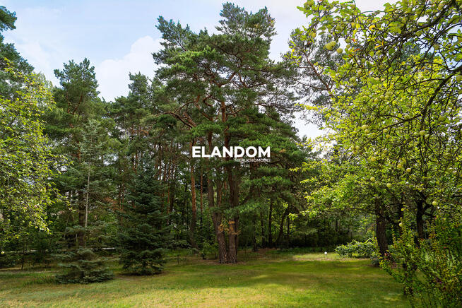 Dom dla wielopokoleniowej rodziny / Duża działka