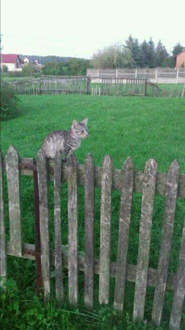 Poznam wolna/sympatyczna kolezanke