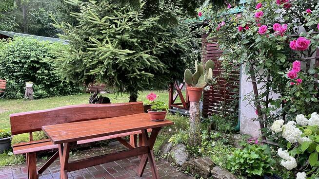 Noclegi, Agroturystyka, Pokoje, Walim, Michałkowa, GórySowie