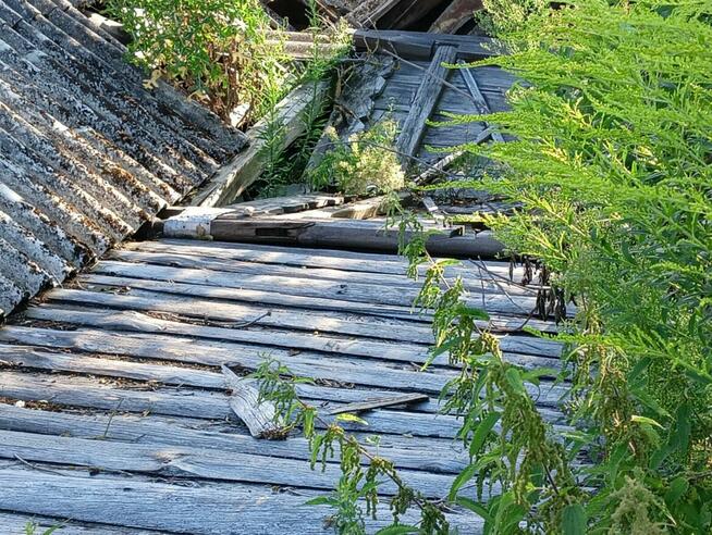 Stodoła pow. wyszkowski