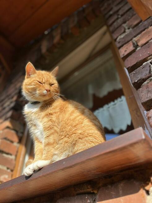 Noclegi, Agroturystyka, Pokoje, Walim, Michałkowa, GórySowie