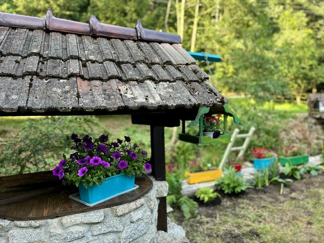 Noclegi, Agroturystyka, Pokoje, Walim, Michałkowa, GórySowie