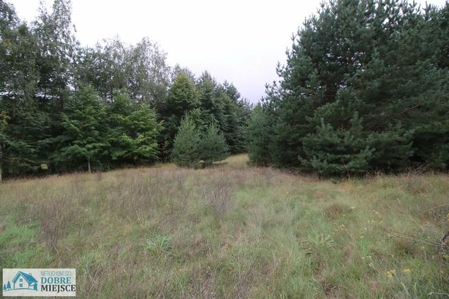 Dom Piastowo gm. Gąsawa