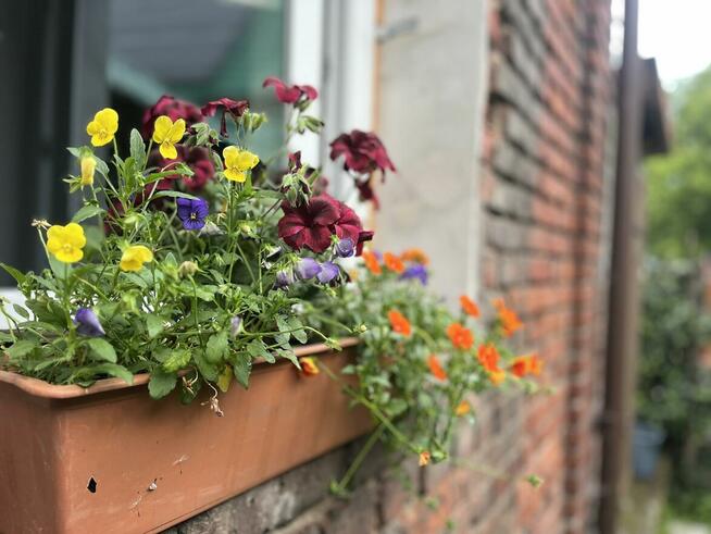 Noclegi, Agroturystyka, Pokoje, Walim, Michałkowa, GórySowie