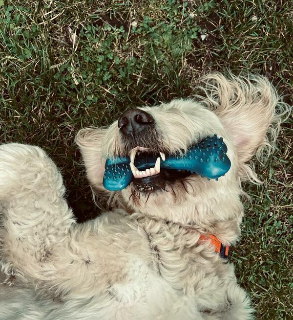 Noclegi, Agroturystyka, Pokoje, Walim, Michałkowa, GórySowie