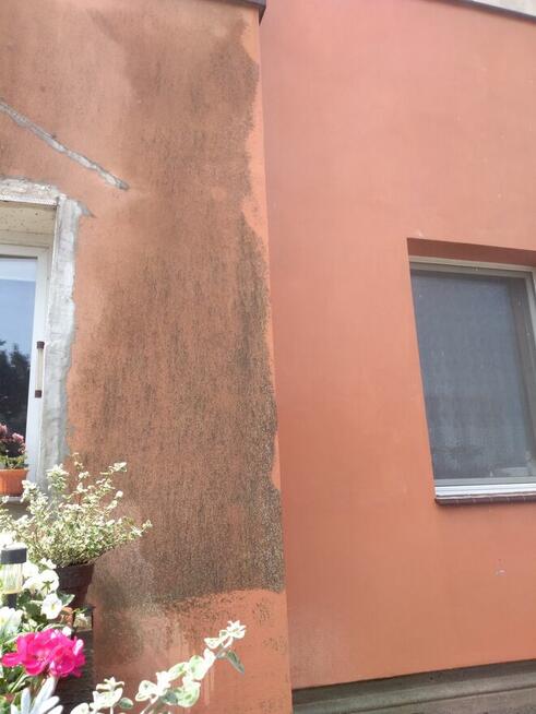 Mycie kostki brukowej, układanie polbruku, koszenie traw