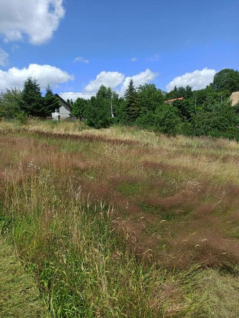 Koszenie trawy, nieużytków, kosiarka bijakowa, karczowanie