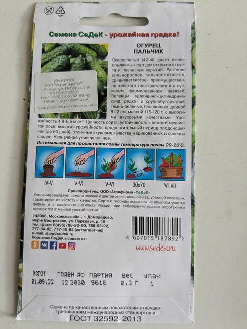 Ogórek Palczik, Kustowoj rosyjski Nasiona kolekcjonerskie
