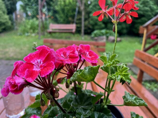 Noclegi, Agroturystyka, Pokoje, Walim, Michałkowa, GórySowie