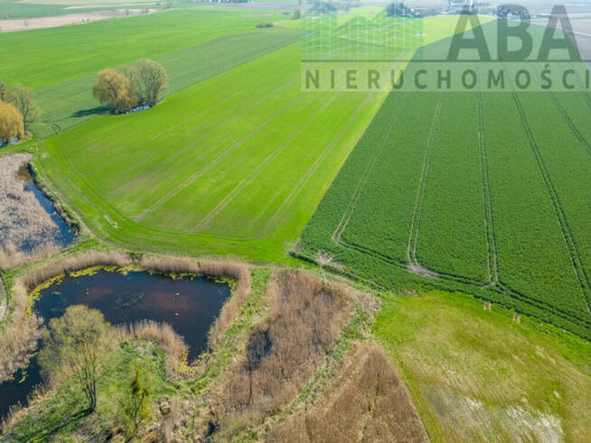 Działka budowlana przy lesie, gm. Kiszkowo