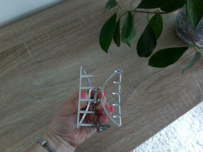 Ozdobna klamra do wlosów