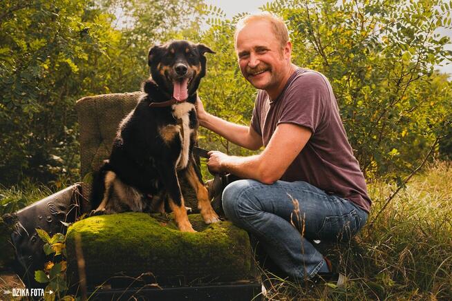 Turbo kontaktowy, energiczny pies czeka na swojego człowieka