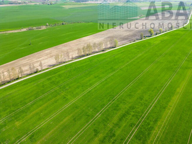 Działka budowlana przy lesie, gm. Kiszkowo