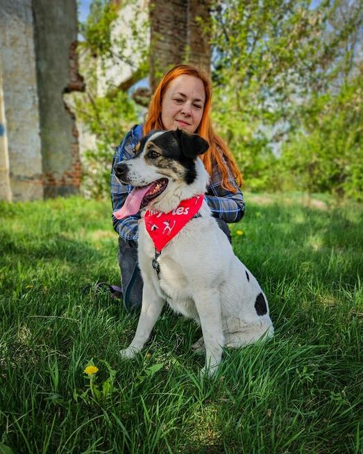 Przekochany, otwarty, absolutnie proludzki pies do adopcji!