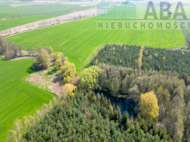 Działka budowlana przy lesie, gm. Kiszkowo