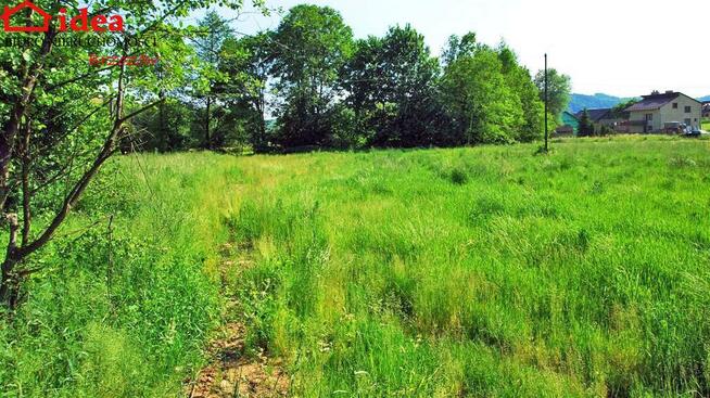 Działka budowlana Lutcza gm. Niebylec