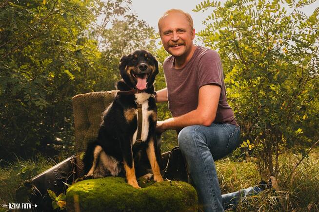 Turbo kontaktowy, energiczny pies czeka na swojego człowieka