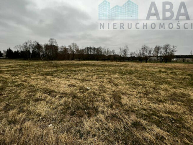 Działka na sprzedaż w miejscowości Dębicz gm. Kramsk