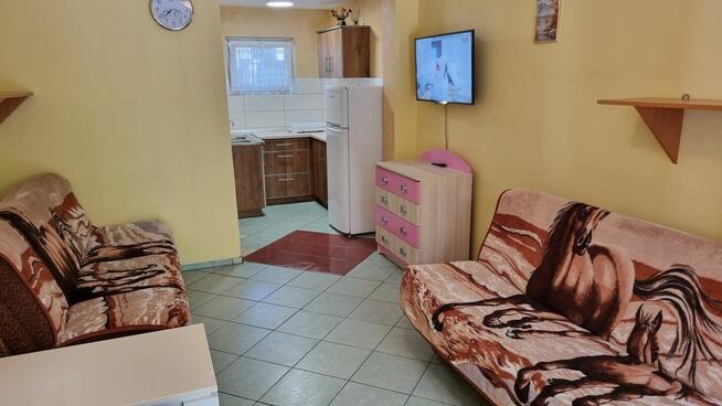 !!! DOMKI W SKORZĘCINIE - WYNAJMĘ !!!